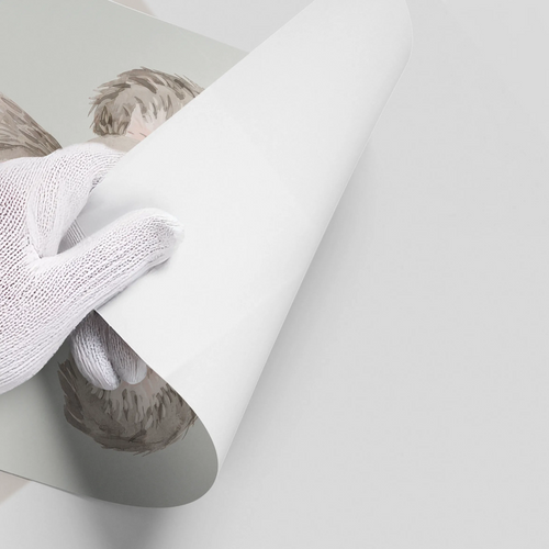 Minimalist Koala Bear - Poster