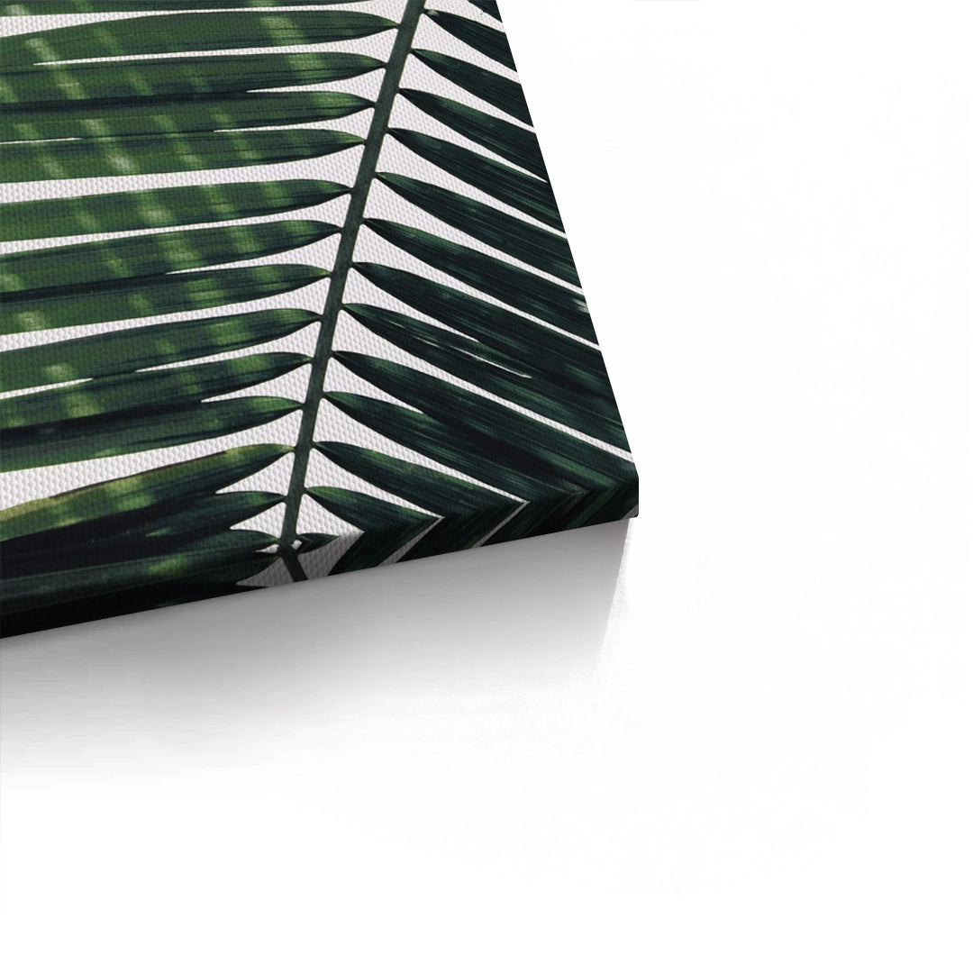 2Minimalist Palm Frond - Canvas