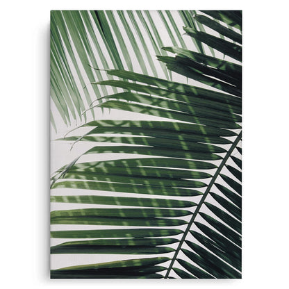 Minimalist Palm Frond - Canvas