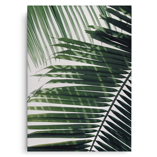 Minimalist Palm Frond - Canvas