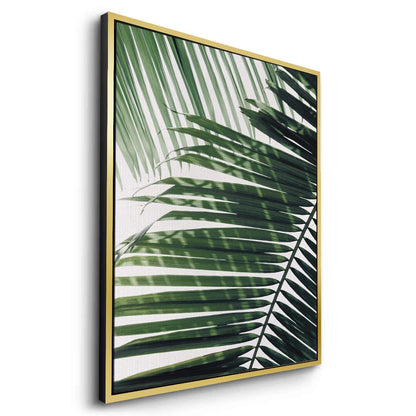 Minimalist Palm Frond - Canvas