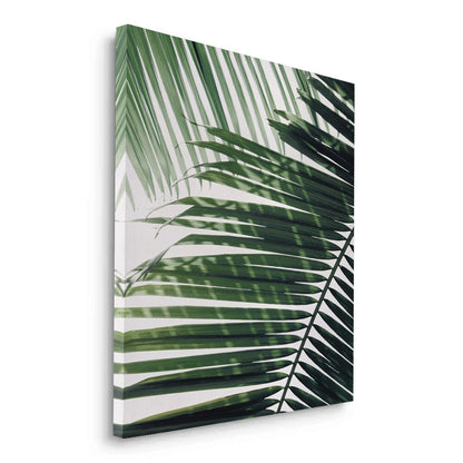 Minimalist Palm Frond - Canvas