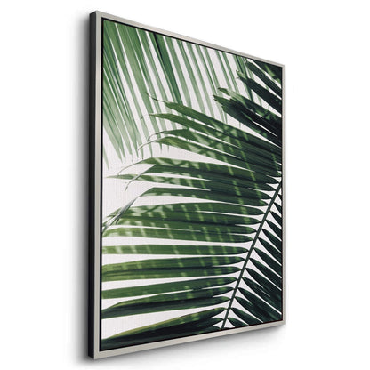Minimalist Palm Frond - Canvas