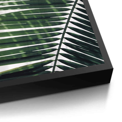 Minimalist Palm Frond - Fine Art