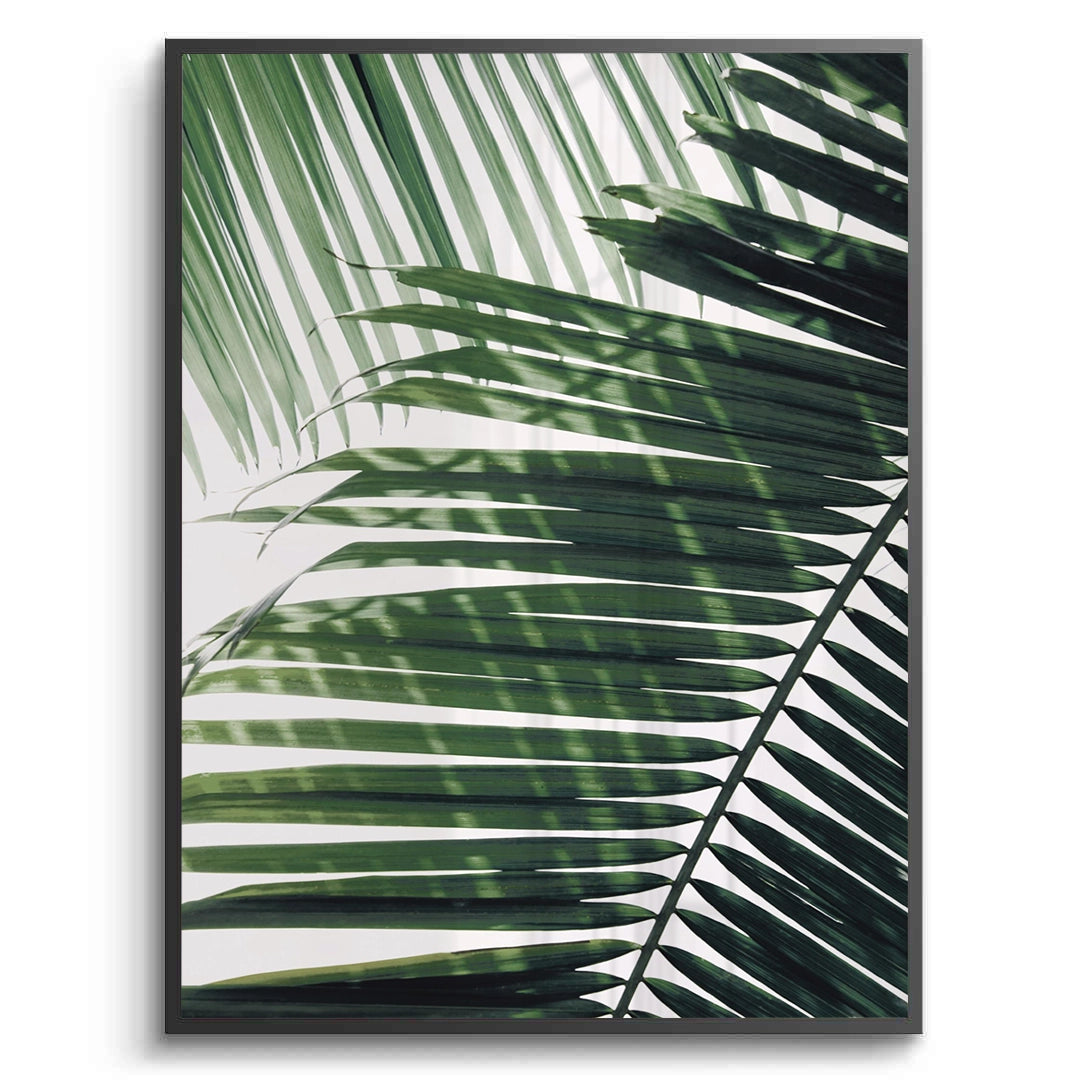 2Minimalist Palm Frond - Fine Art