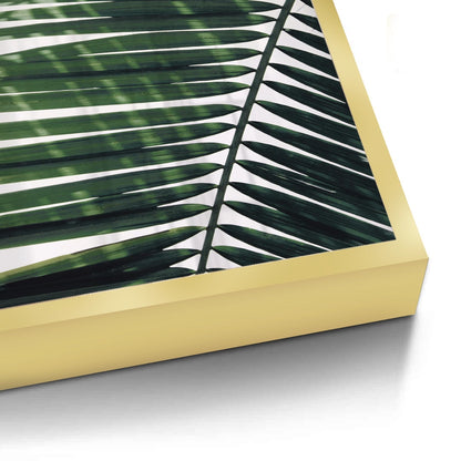 Minimalist Palm Frond - Fine Art