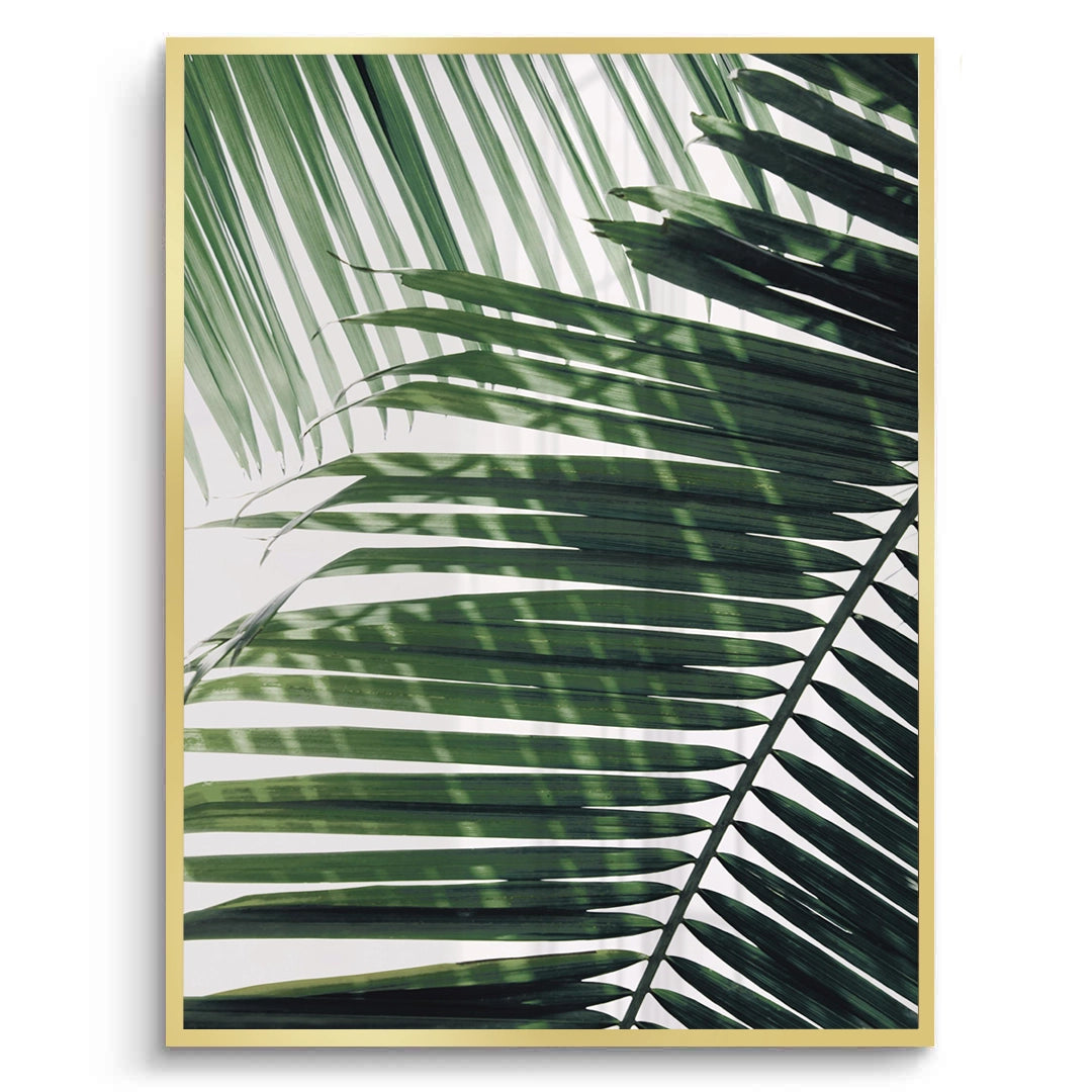 2Minimalist Palm Frond - Fine Art