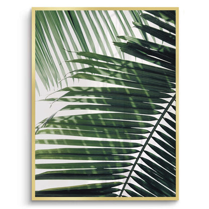 Minimalist Palm Frond - Fine Art