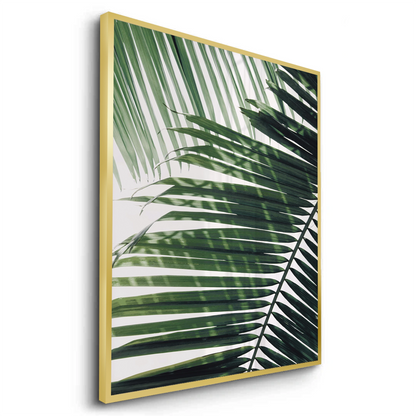 Minimalist Palm Frond - Fine Art