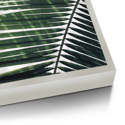 Minimalist Palm Frond - Fine Art