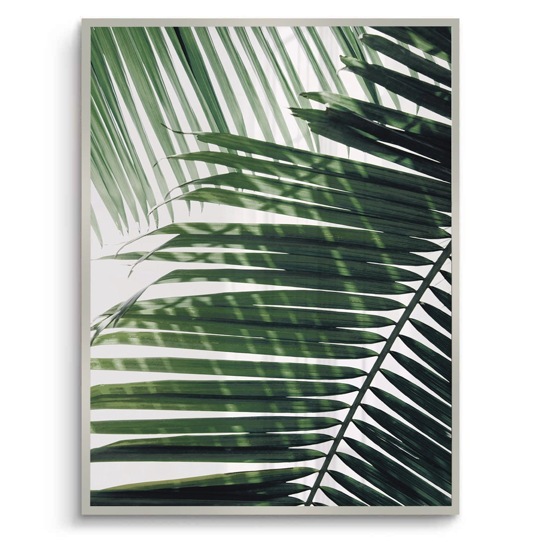 2Minimalist Palm Frond - Fine Art