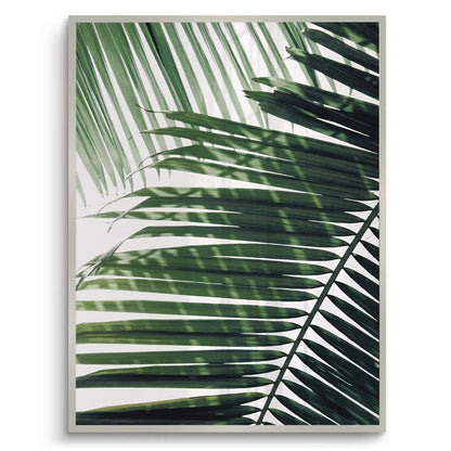 Minimalist Palm Frond - Fine Art