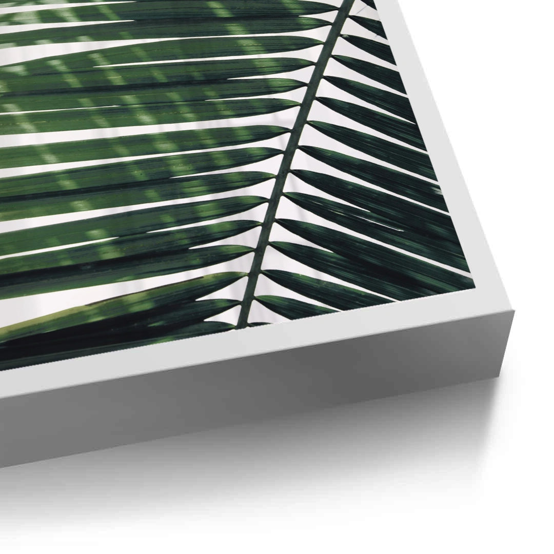2Minimalist Palm Frond - Fine Art