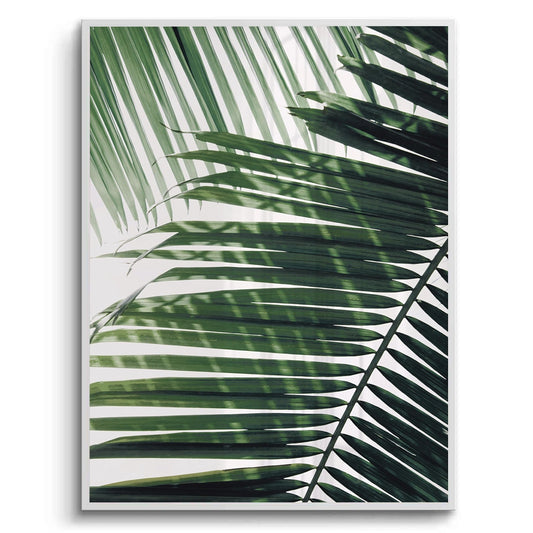 Minimalist Palm Frond - Fine Art