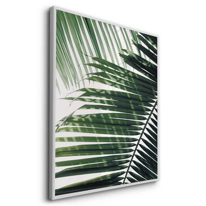 Minimalist Palm Frond - Fine Art