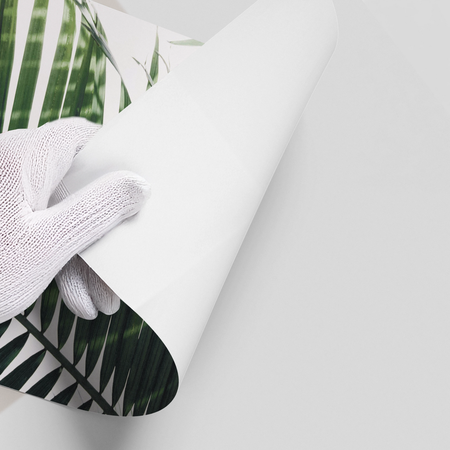 2Minimalist Palm Frond - Poster