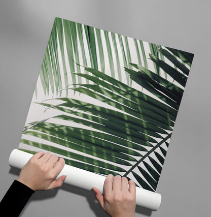 Minimalist Palm Frond - Poster