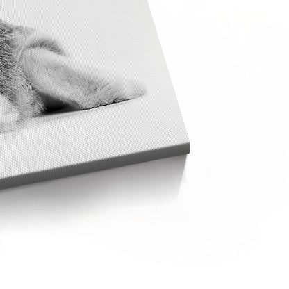 Minimalist Rabbit - Canvas