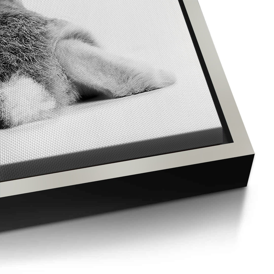 2Minimalist Rabbit - Canvas