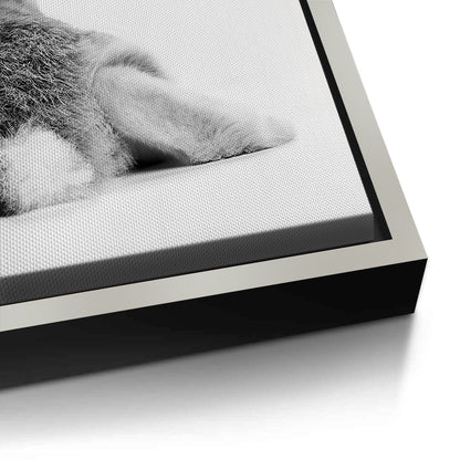 Minimalist Rabbit - Canvas