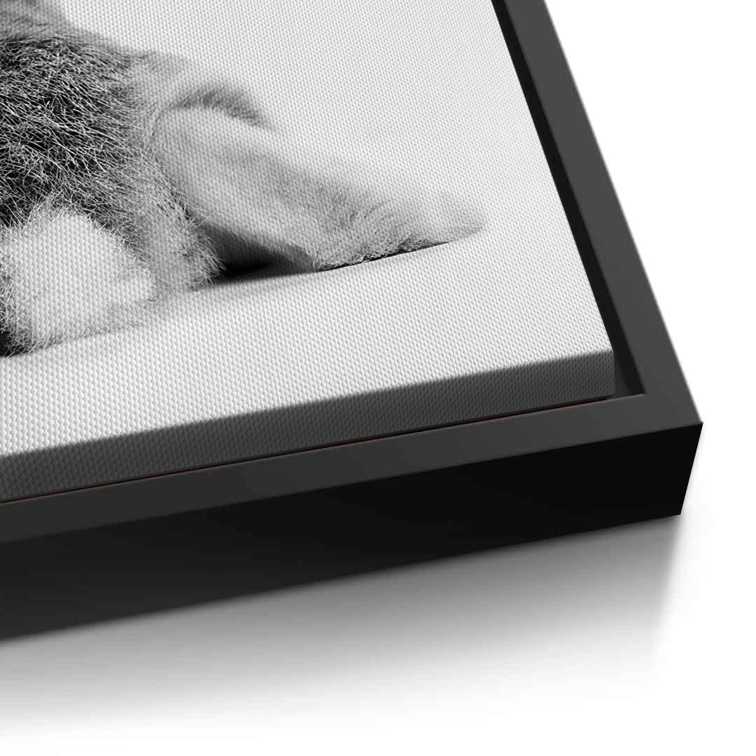 2Minimalist Rabbit - Canvas