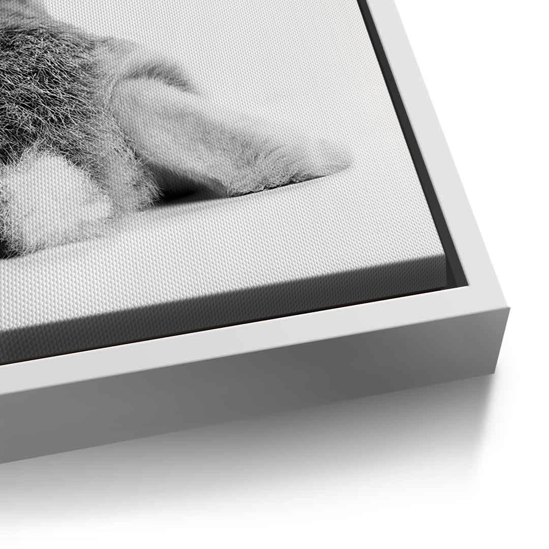 2Minimalist Rabbit - Canvas