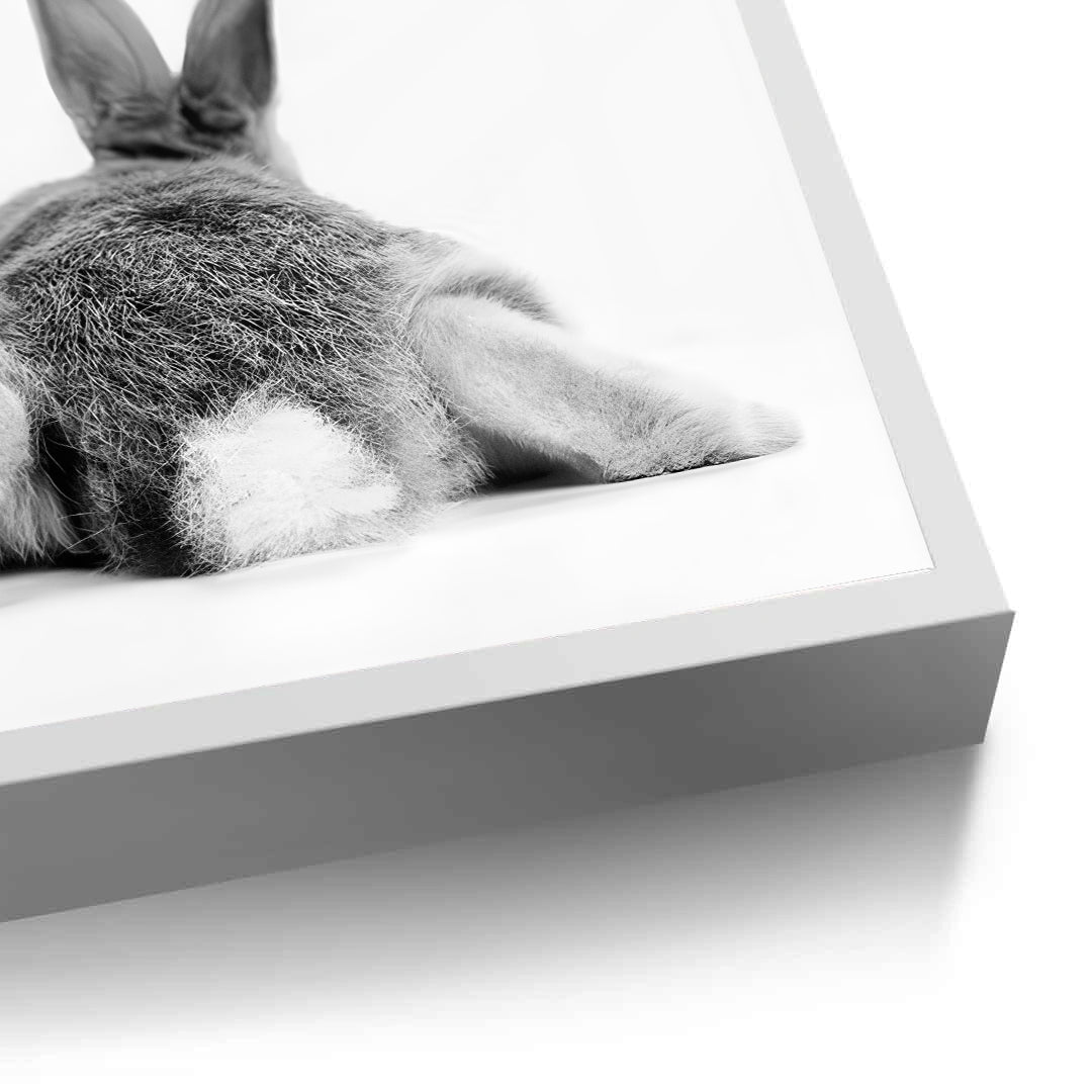 2Minimalist Rabbit - Fine Art