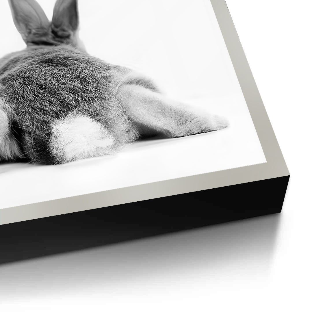 2Minimalist Rabbit - Fine Art