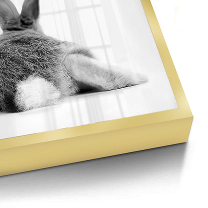 Minimalist Rabbit - Fine Art