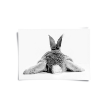 Minimalist Rabbit - Poster