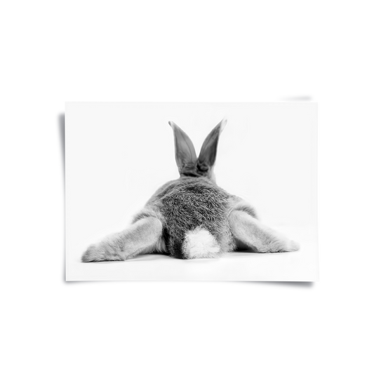 Minimalist Rabbit - Poster