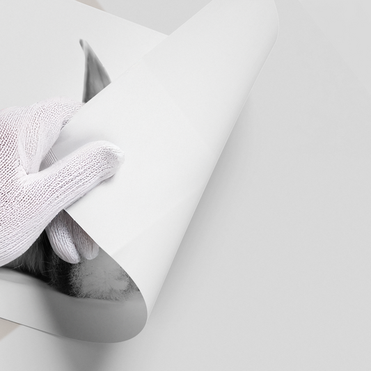 Minimalist Rabbit - Poster