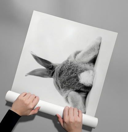 Minimalist Rabbit - Poster
