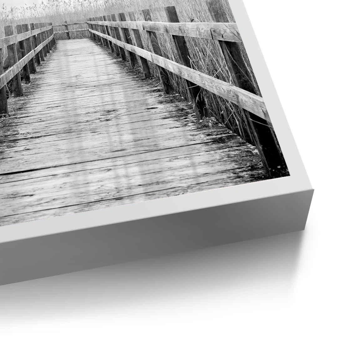 2Monochrome Boardwalk - Fine Art