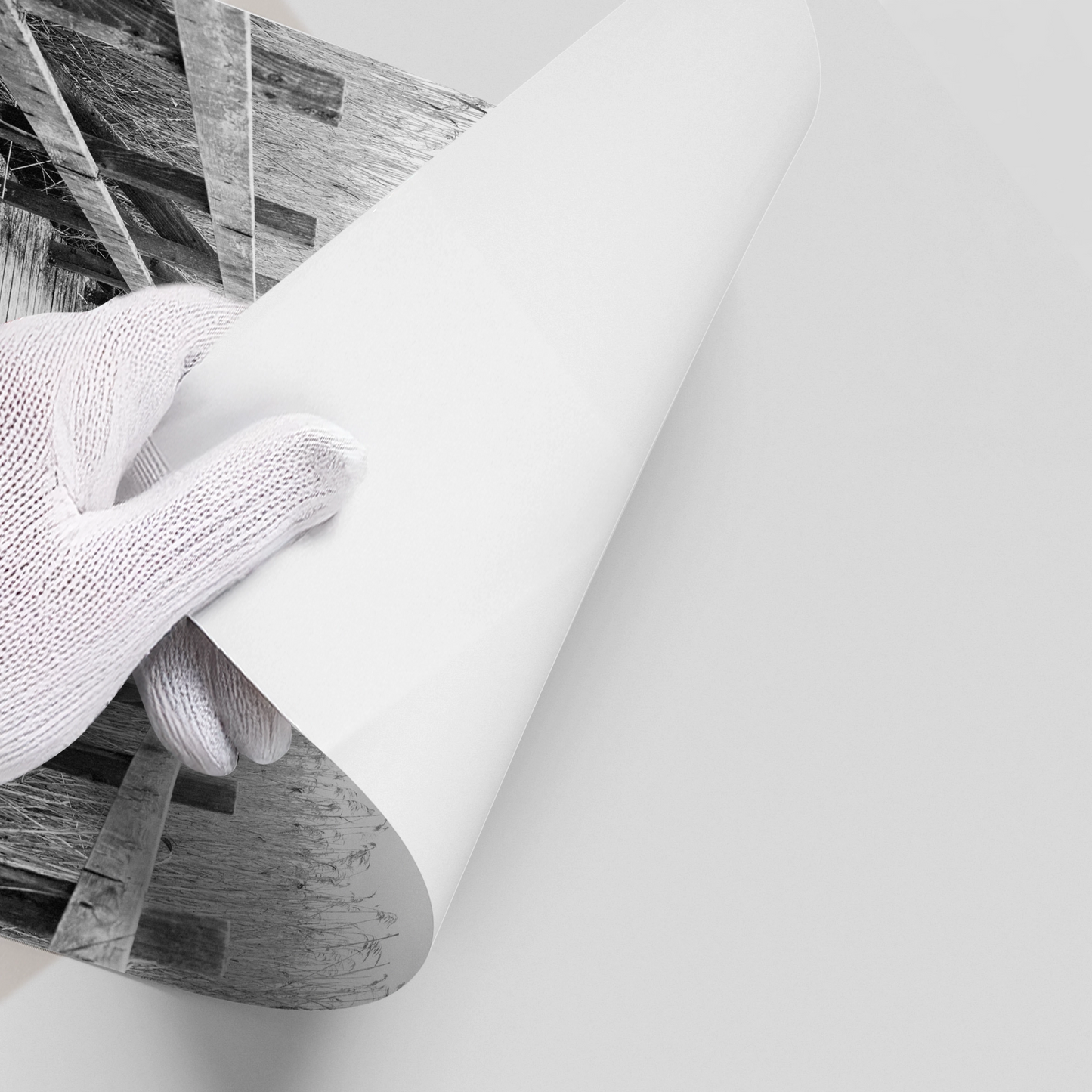 2Monochrome Boardwalk - Poster