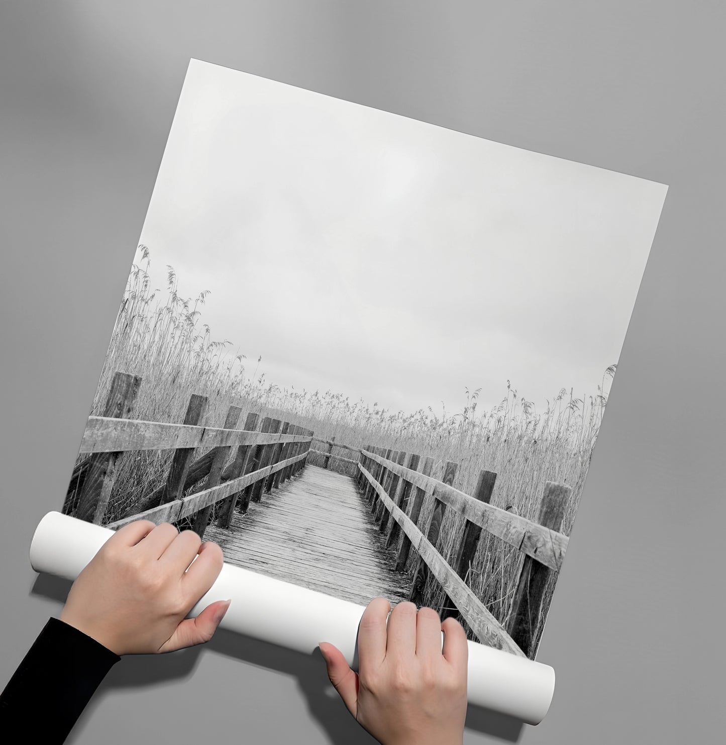 2Monochrome Boardwalk - Poster