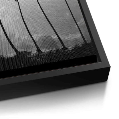 Monochrome Palm Silhouette - Canvas