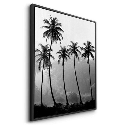 Monochrome Palm Silhouette - Canvas