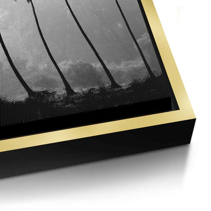 Monochrome Palm Silhouette - Canvas