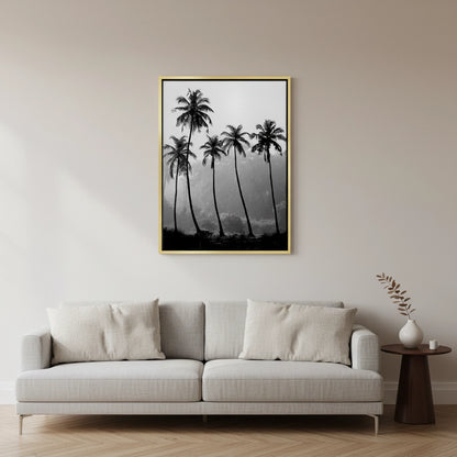 Monochrome Palm Silhouette - Canvas