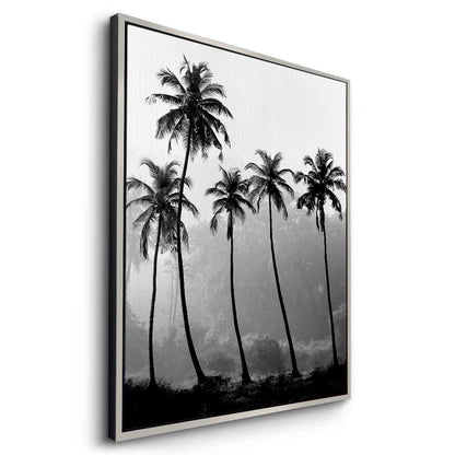 Monochrome Palm Silhouette - Canvas
