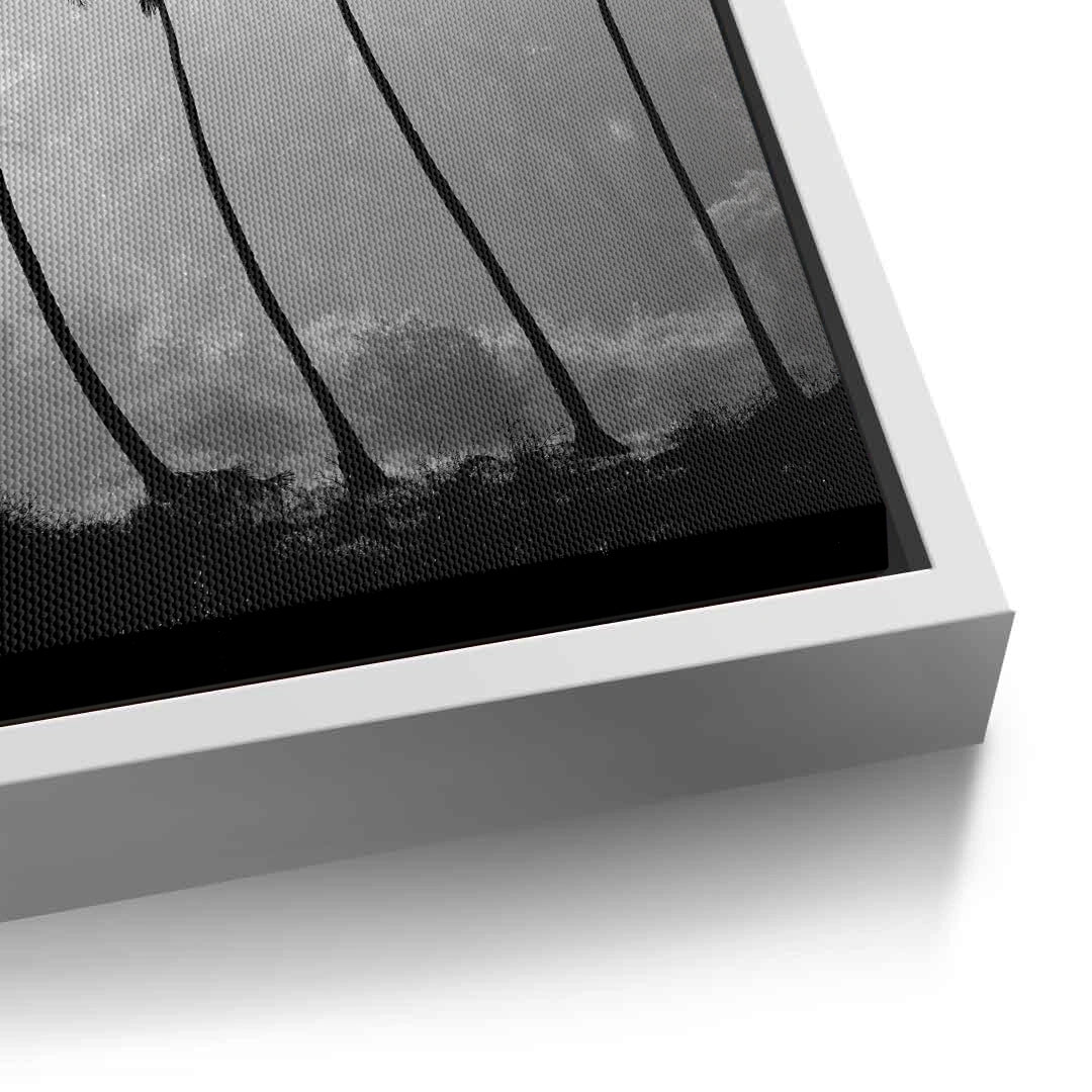 2Monochrome Palm Silhouette - Canvas