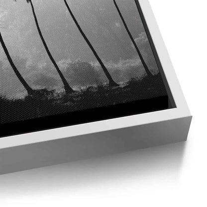 Monochrome Palm Silhouette - Canvas