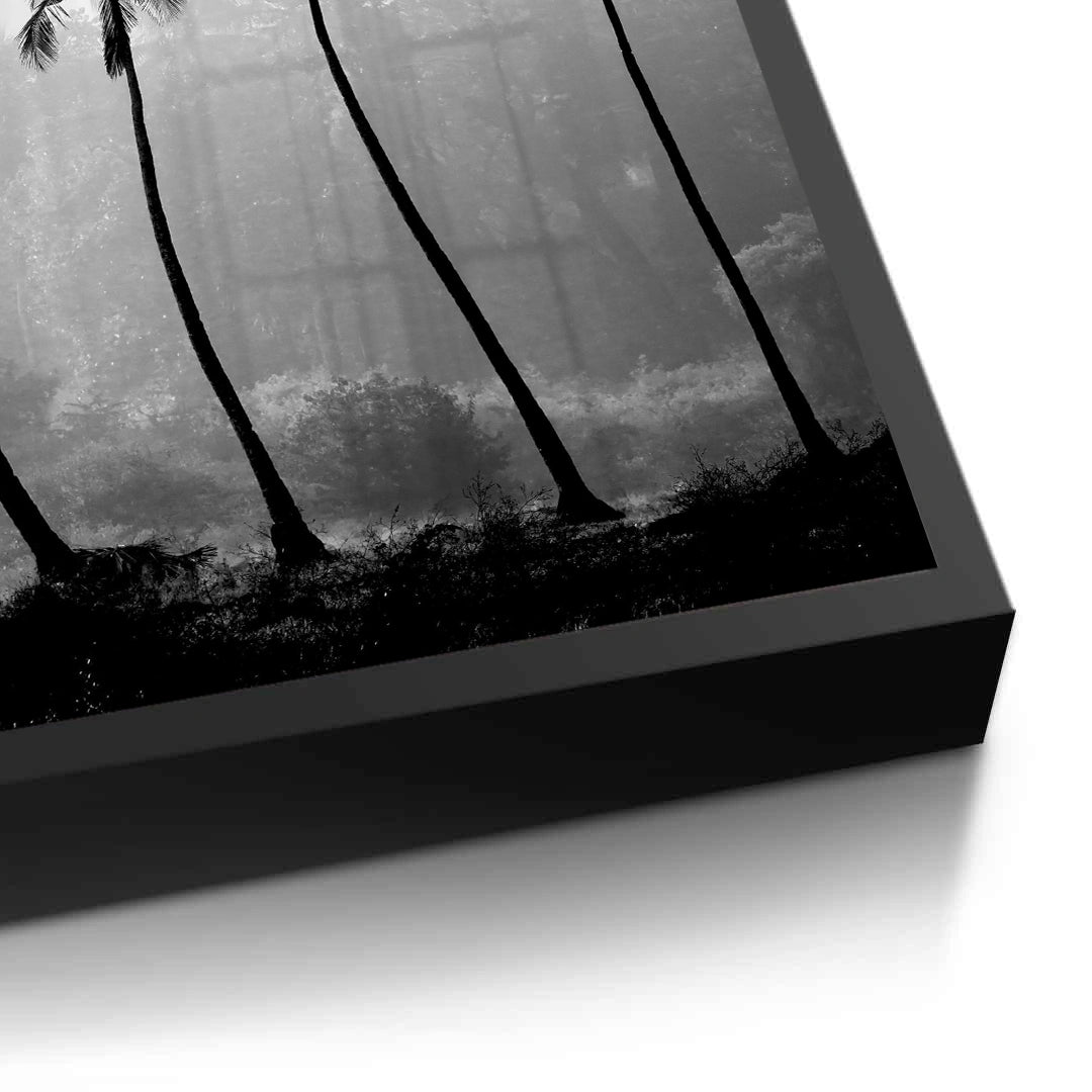 2Monochrome Palm Silhouette - Fine Art