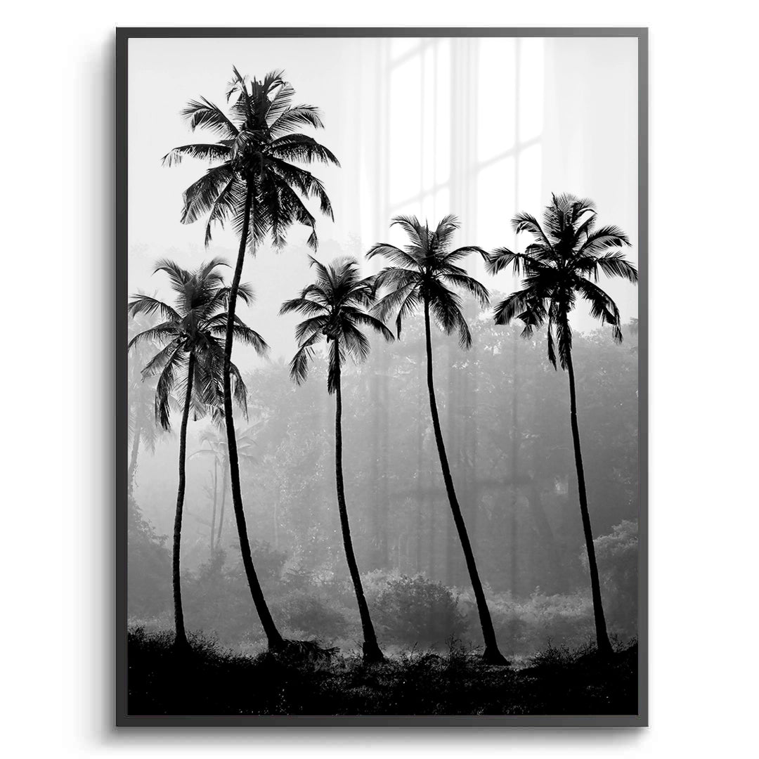 2Monochrome Palm Silhouette - Fine Art