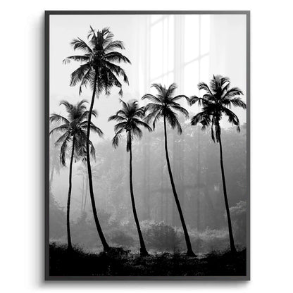 Monochrome Palm Silhouette - Fine Art