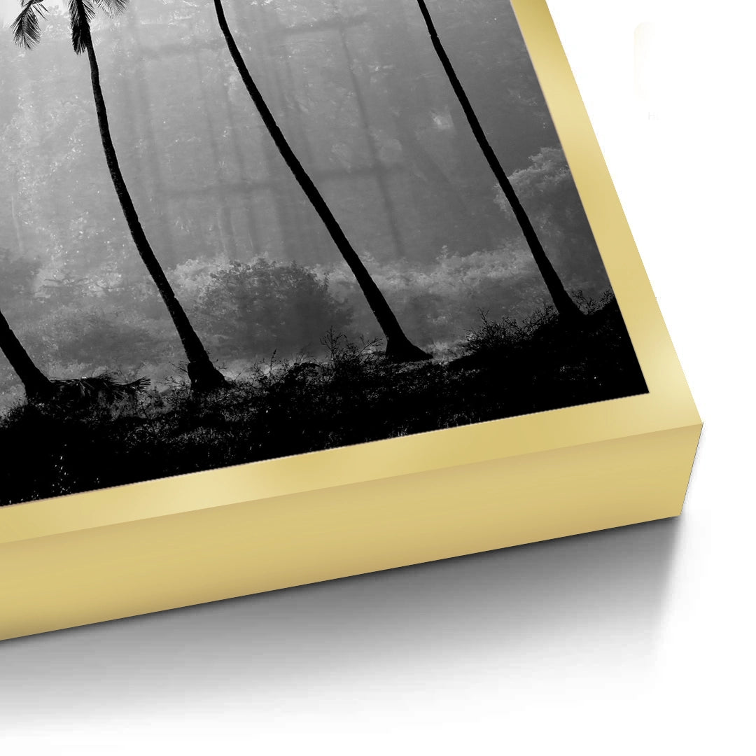 2Monochrome Palm Silhouette - Fine Art