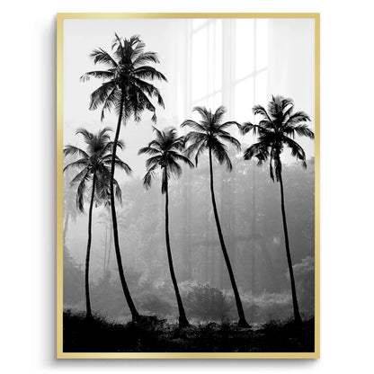 Monochrome Palm Silhouette - Fine Art