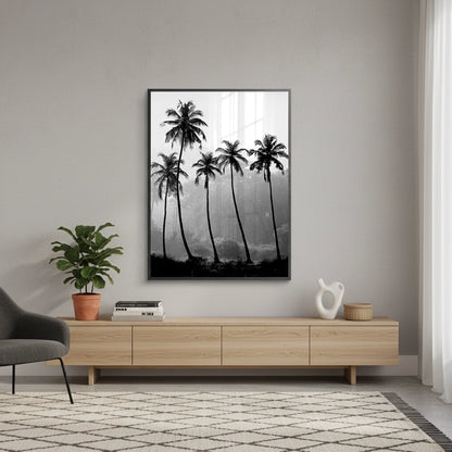 Monochrome Palm Silhouette - Fine Art