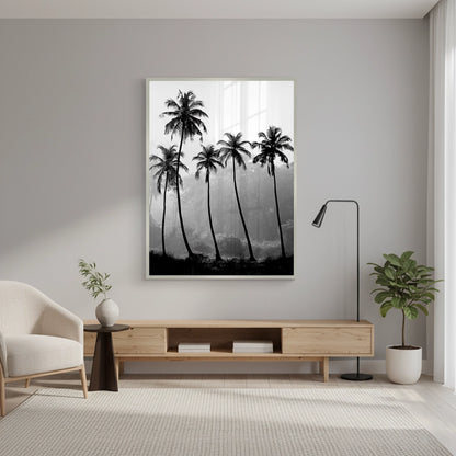 Monochrome Palm Silhouette - Fine Art